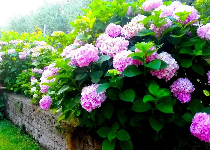 Dell'uva דירה ברדולינו