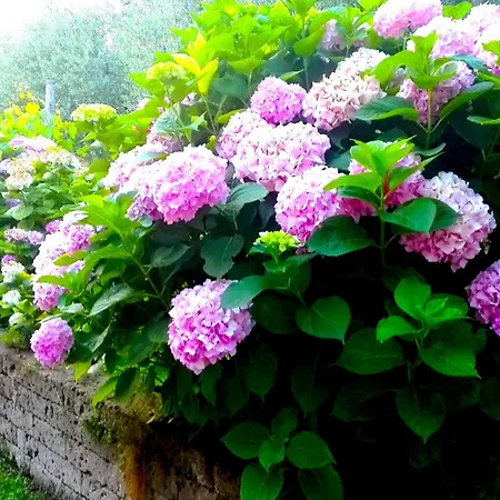 Dell'uva Apartamento Bardolino